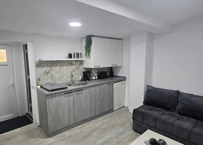 Slavuj Mini Apartament